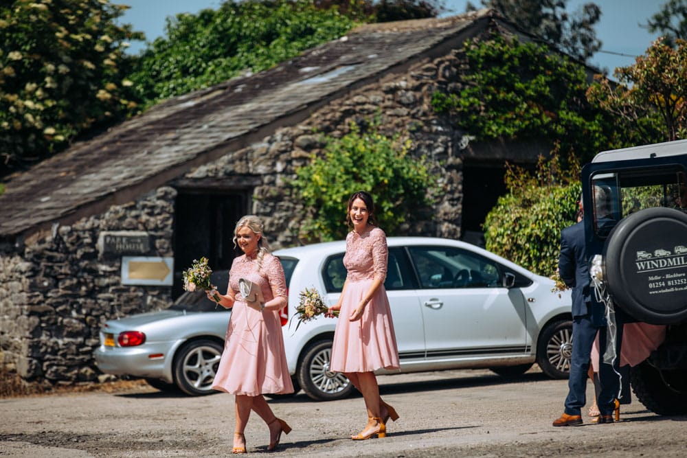 cattle at park house farm in the lake district bride arriving by car