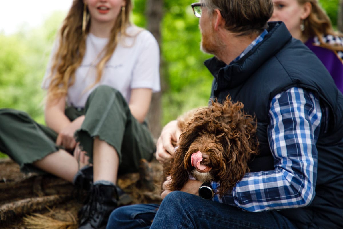 dog on a photoshoot