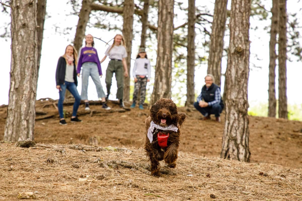 dog is part of the family on this photoshoot