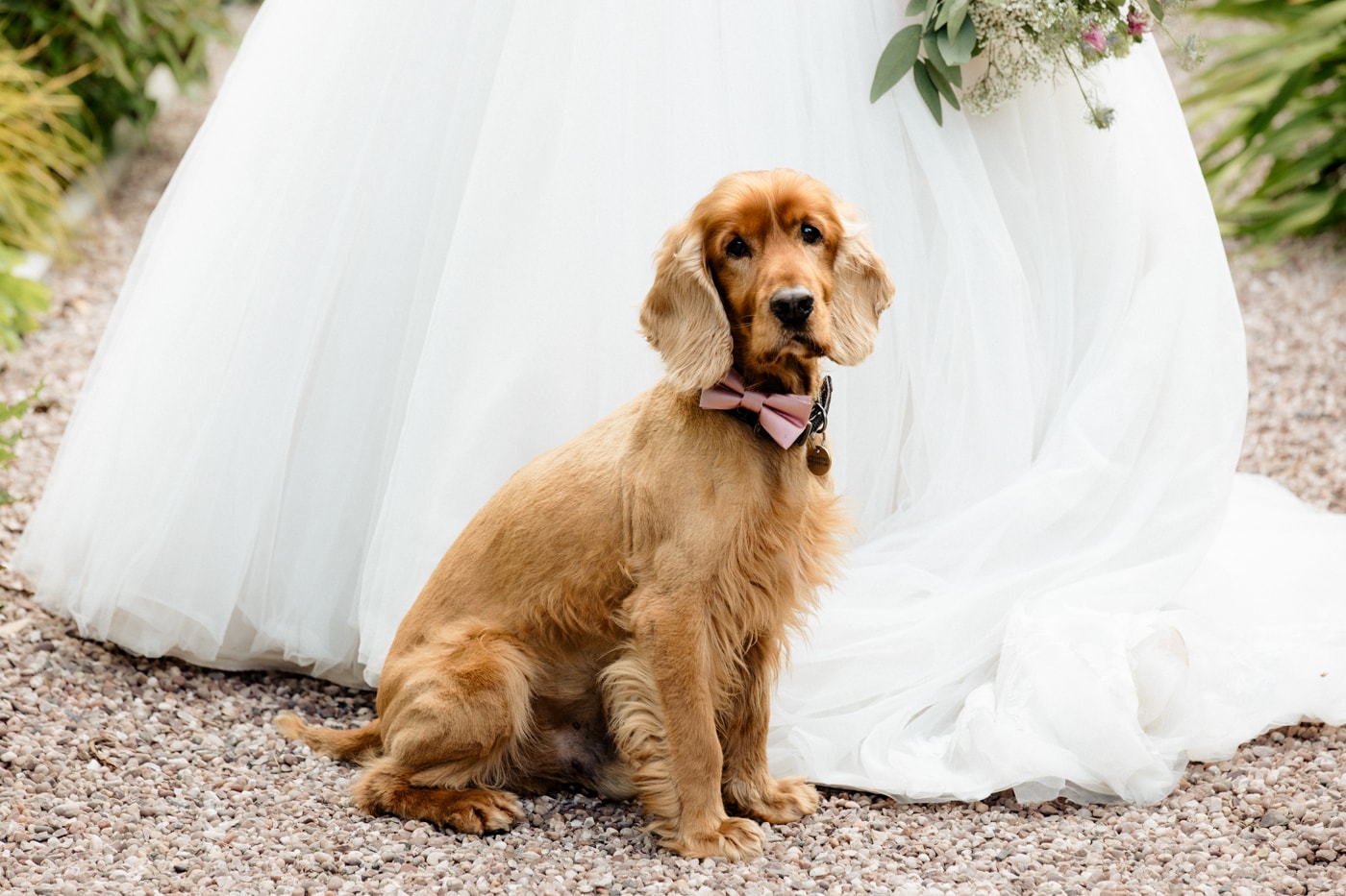 abbeywood estate cheshire bridal portraits in the gardens