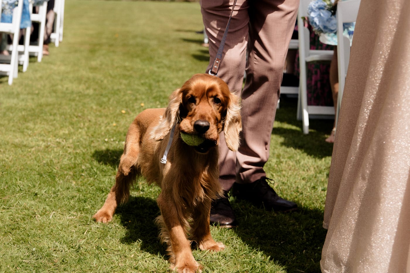 abbeywood estate outdoor wedding ceremony in cheshire