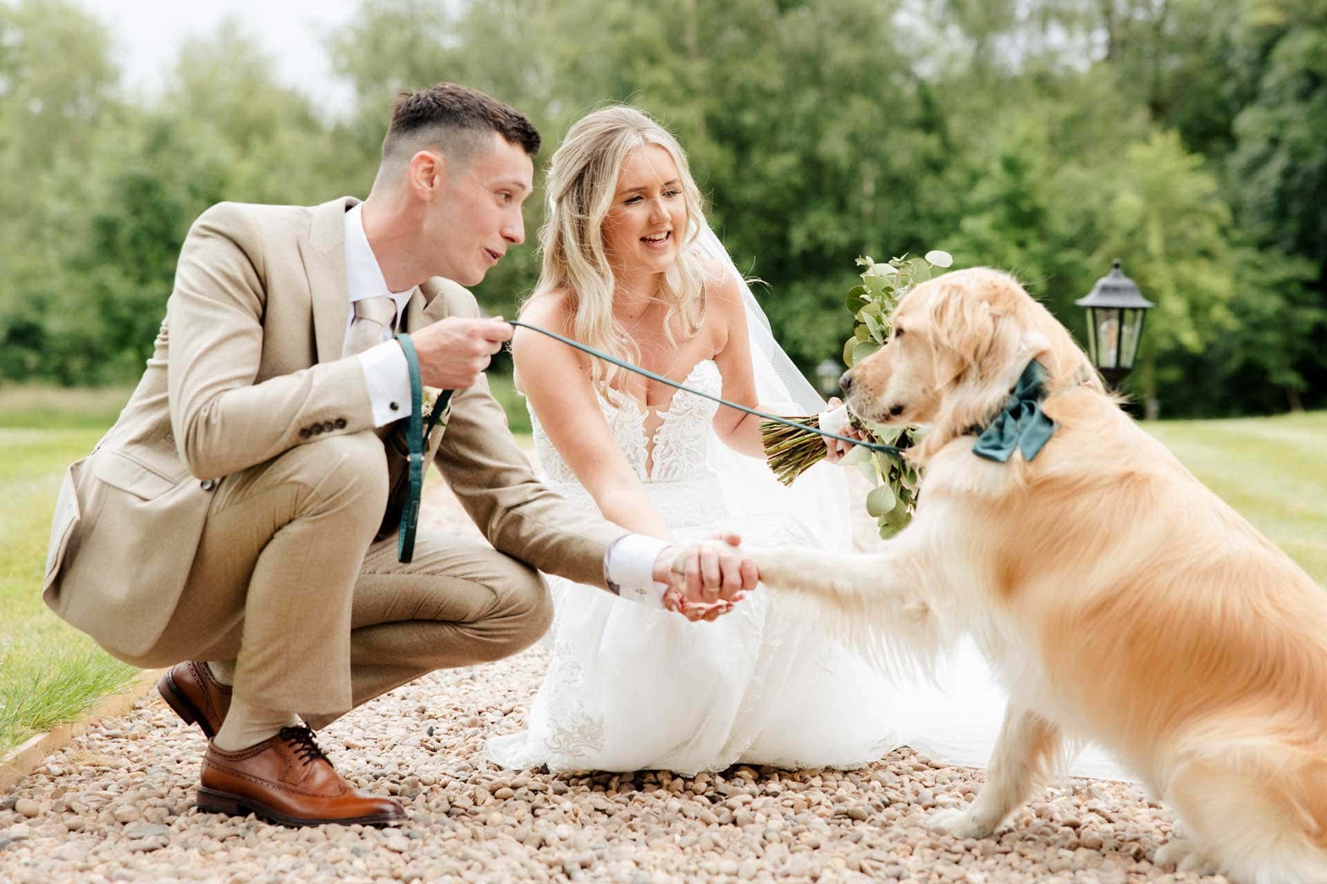 dog at a wedding in lancashire